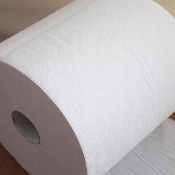 ręcznik papierowy w rolce vella celuloza dwuwarstwowy